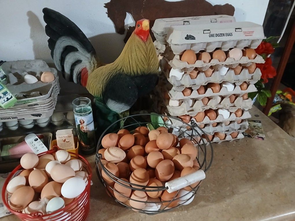 Farm Fresh Eggs/ Huevo Fresco