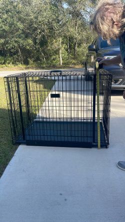 Dog Creates 3 different Sizes
