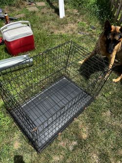 Dog Cage