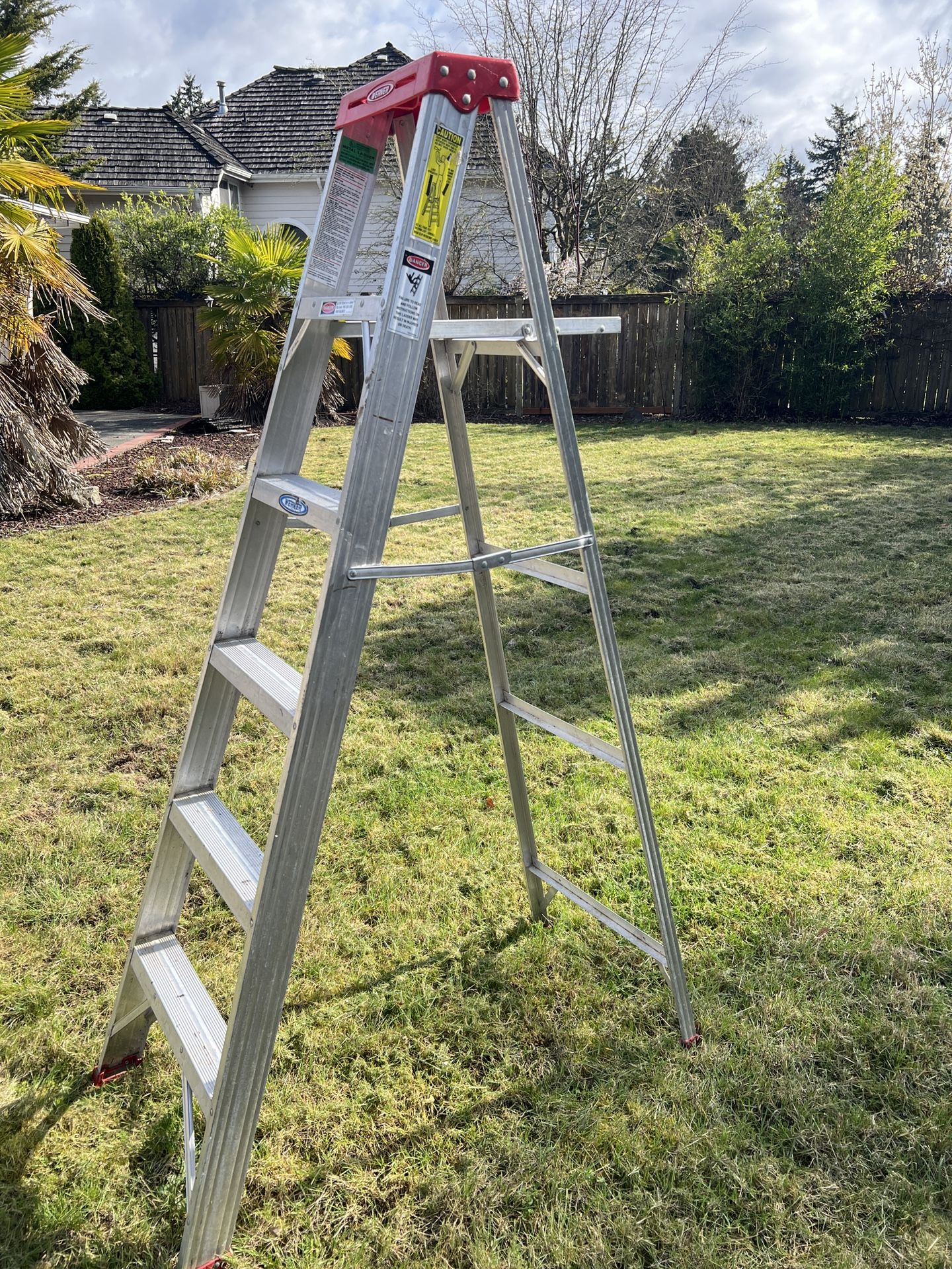 6ft Ladder 