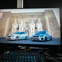 Alienware Gaming Monitor 