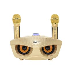 MOTHERS DAY GIFT Portable Karaoke Machine