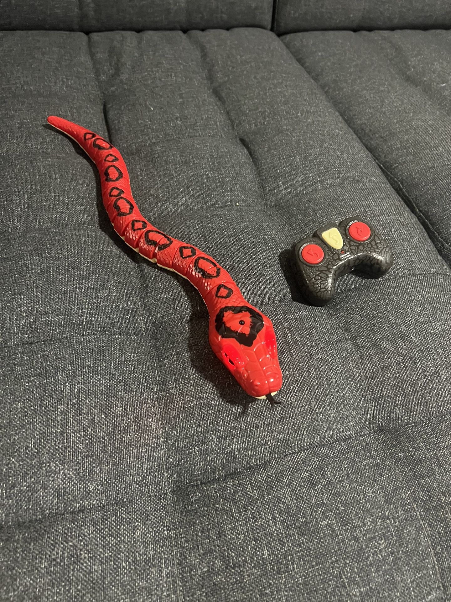 Snake With Remote Control