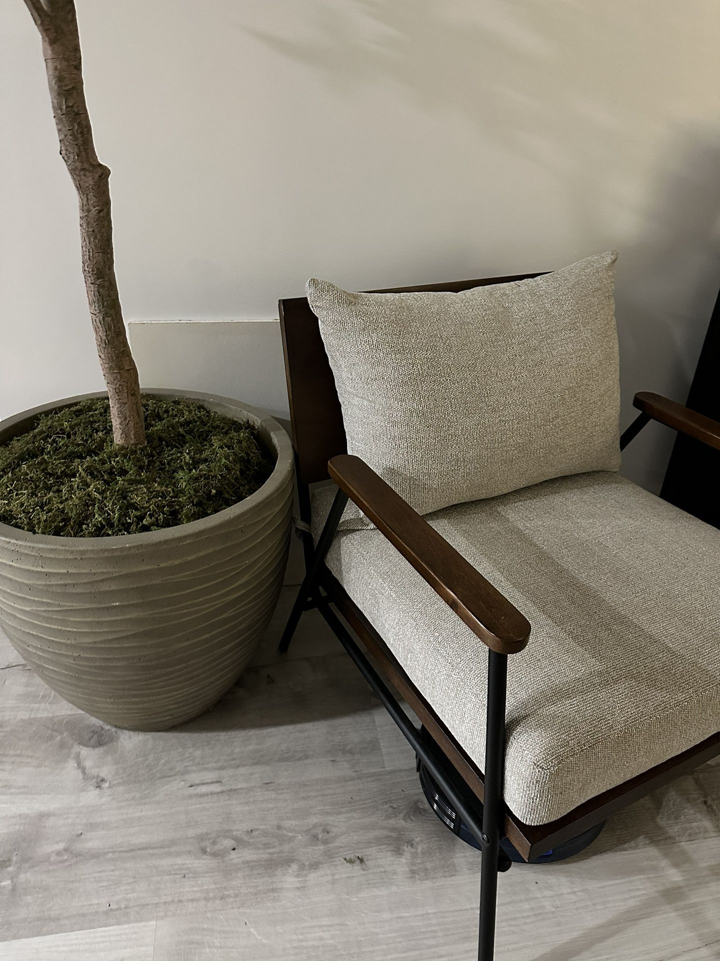 Mid Century Modern Chairs