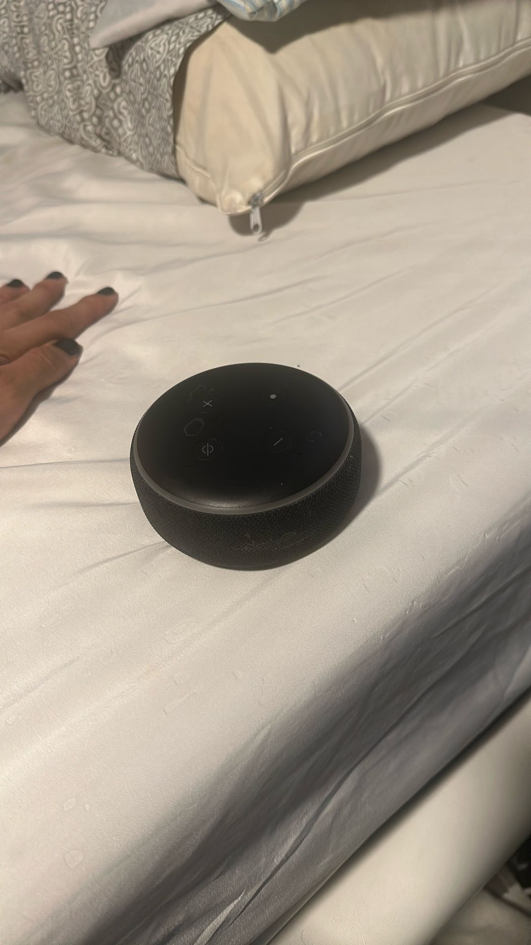 Echo Dot