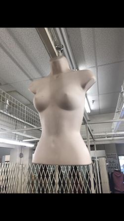 Mannequin torso