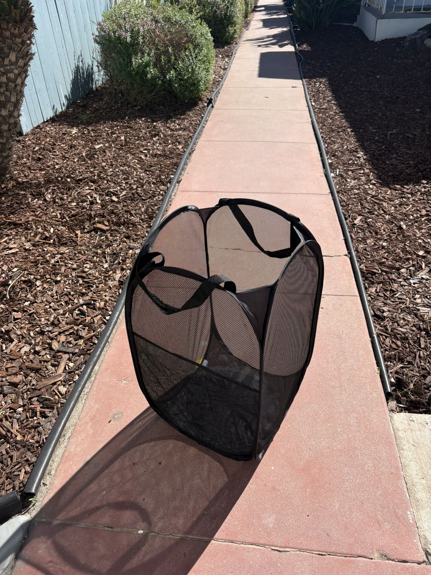 Set of 2 collapsible laundry baskets