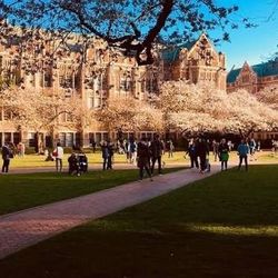 I’ll pay to get confirm code from any @uw.edu email