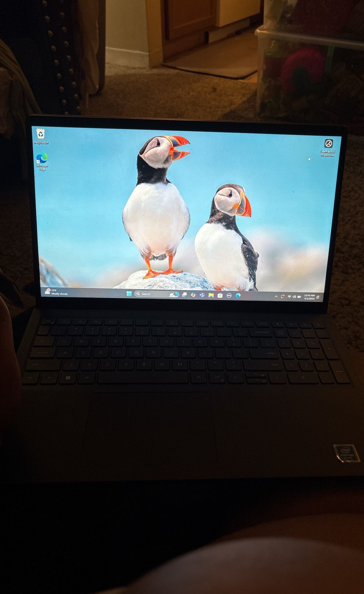 Dell Inspiron 3525