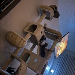 FREE KITTENS” tree