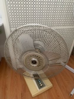 Fan