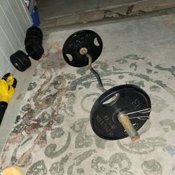 Curl Bar With 2 45lbs Weights 