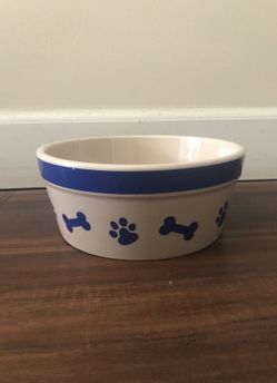 Doggy Bowl and Collar