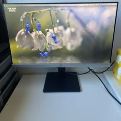 24 inch HP Monitor