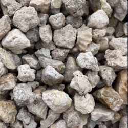 Pea Rock - Yard