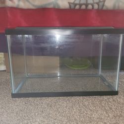 5 gallon Aquarium