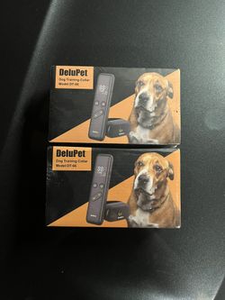 Dog Training Collar 
