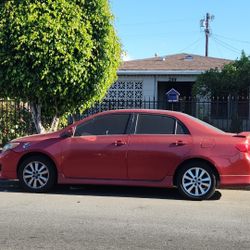 2010 Toyota Corolla