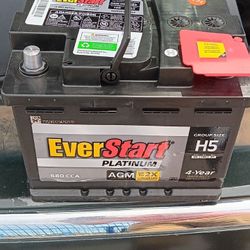 Everstart Platnium Battery Agm Technology New 