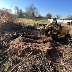 STUMP GRINDING. AVAILABLE TODAY