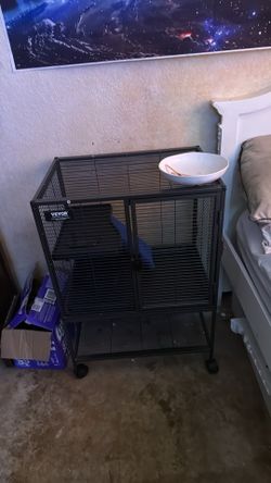 Rat cage