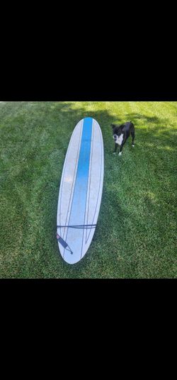 8ft Long Board