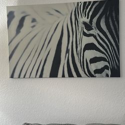Zebra Canvas 