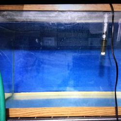 Aquarium 20 g And HEATER 