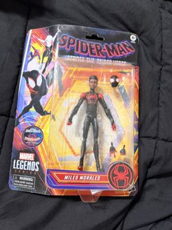 Spider Man