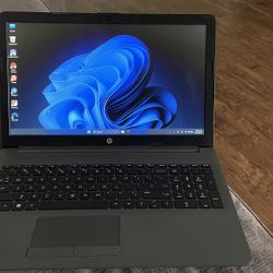 Windows 11 Hp 255 G7 Laptop