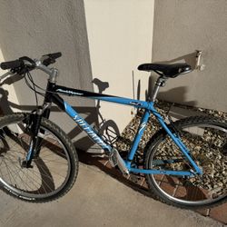 Specialized Mountain Bike