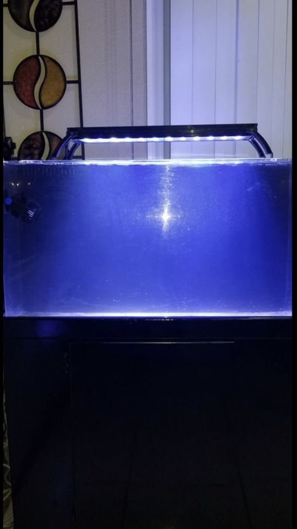 50 gallon all in one acrylic aquarium for Sale in Las Vegas, NV - 59a4273a0fa54D58997b1bb2a14282e6