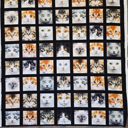 Cats fabric! Keith Kimberlin for Elizabeth’s Studio LLC 100% cotton