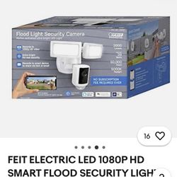 FEIT Electric Flood Light And Camera