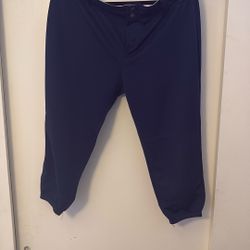 Demarini Softball Pants Navy Blue (large)