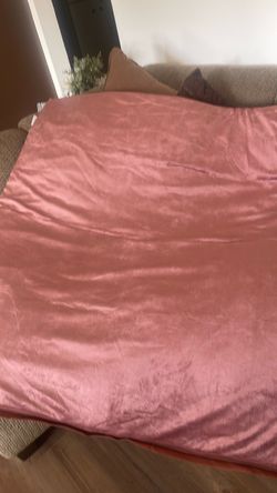 Large dog bed