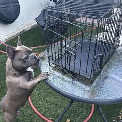 DOG CAGE /jaula Pequeña Para Perro O Gato 