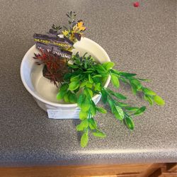 Fish tank plastic plants