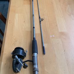 Fishing Pole/rod