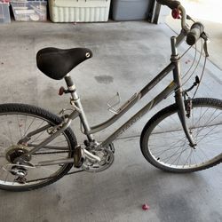 Giant Bike 24”