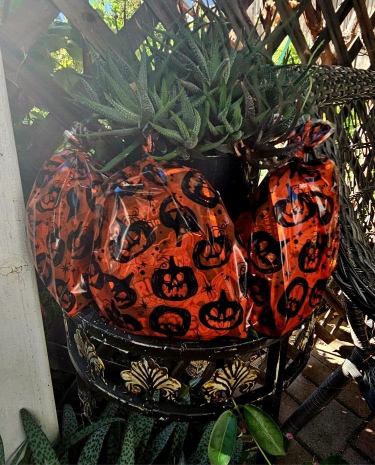 Halloween Goodie Bags For Kiddos 