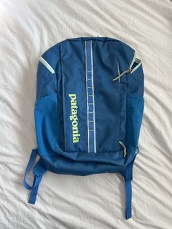 Patagonia Black Hole 25l Backpack