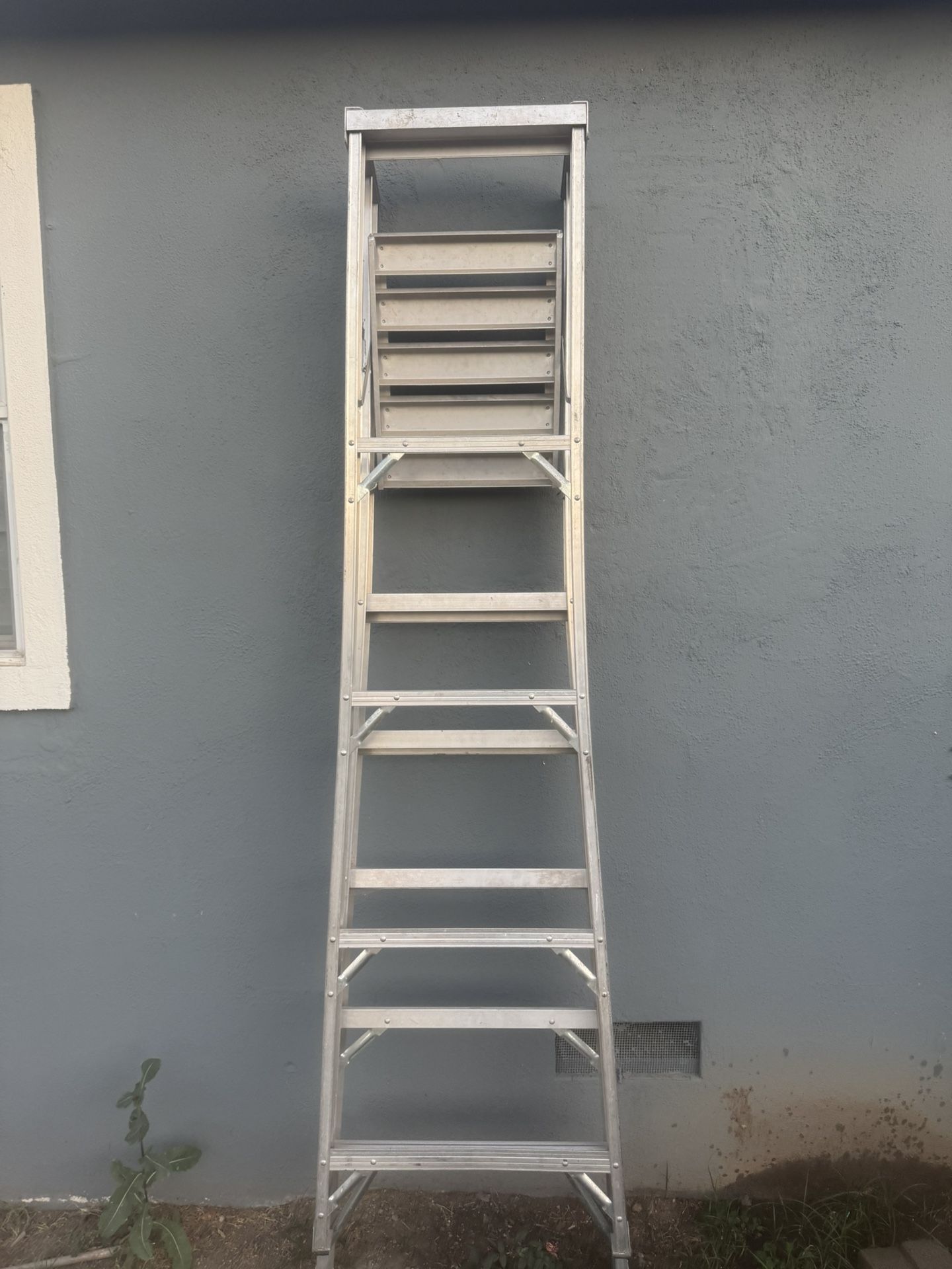 Ladder 6-8ft