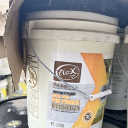 Clear Pro-primer Mold Killer - 5 Gallon