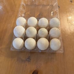 Fresh Duck Eggs $7/dozen