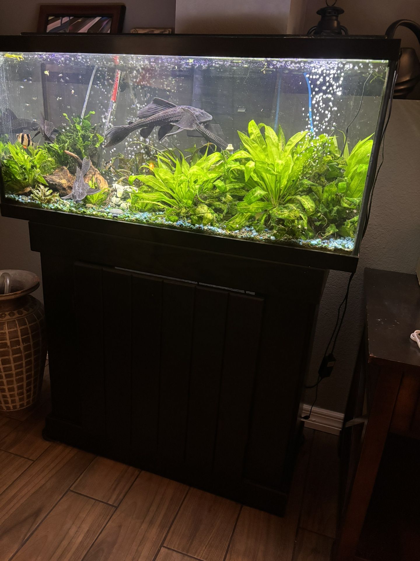 Large Fish Tank With Stand, Accessories And Natural Plants