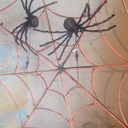 2 spiders on their web! 