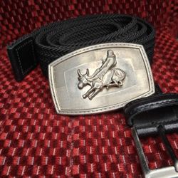 Bull Riding Belt Buckle
