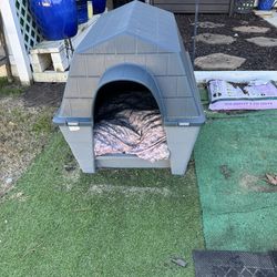 Dog House