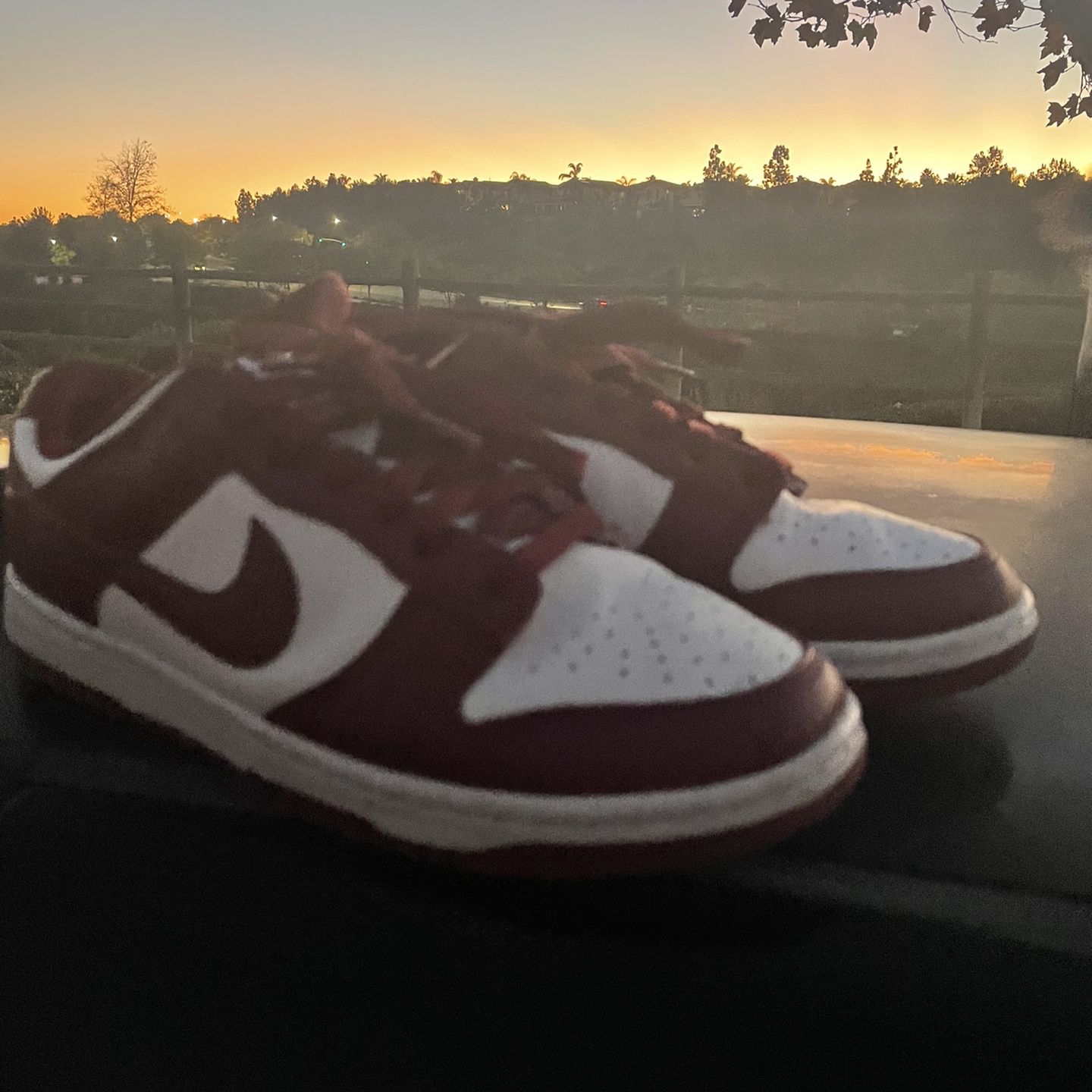 nike dunks